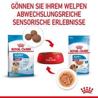 köderbox für rattengift Köderboxen für Ratten