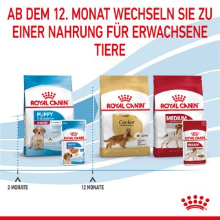 ROYAL CANIN MEDIUM Puppy Welpenfutter nass fr mittelgroe Hunde bis