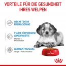 ROYAL CANIN MEDIUM Puppy Welpenfutter nass f&uuml;r mittelgro&szlig;e Hunde bis zum 12. Monat 10x140 g