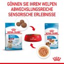 ROYAL CANIN MEDIUM Puppy Welpenfutter nass f&uuml;r mittelgro&szlig;e Hunde bis zum 12. Monat 10x140 g