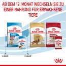 ROYAL CANIN MEDIUM Puppy Welpenfutter nass f&uuml;r mittelgro&szlig;e Hunde bis zum 12. Monat 10x140 g