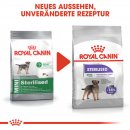 ROYAL CANIN STERILISED MINI Trockenfutter f&uuml;r kastrierte kleine Hunde 8 Kg