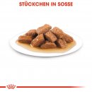 ROYAL CANIN MEDIUM ADULT Nassfutter f&uuml;r erwachsene mittelgro&szlig;e Hunde 10x140 g