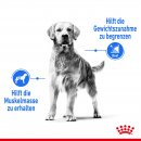 ROYAL CANIN LIGHT WEIGHT CARE MAXI Trockenfutter f&uuml;r zu &Uuml;bergewicht neigenden Hunden 3 Kg