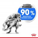 ROYAL CANIN LIGHT WEIGHT CARE MAXI Trockenfutter f&uuml;r zu &Uuml;bergewicht neigenden Hunden 3 Kg