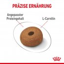 ROYAL CANIN LIGHT WEIGHT CARE MAXI Trockenfutter f&uuml;r zu &Uuml;bergewicht neigenden Hunden 3 Kg