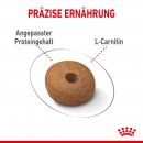 ROYAL CANIN LIGHT WEIGHT CARE MEDIUM Trockenfutter f&uuml;r zu &Uuml;bergewicht neigenden Hunden 3 Kg