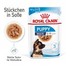 ROYAL CANIN MAXI Puppy Welpenfutter nass f&uuml;r gro&szlig;e Hunde bis zum 15. Monat 10x140 g