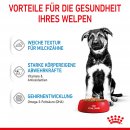 ROYAL CANIN MAXI Puppy Welpenfutter nass f&uuml;r gro&szlig;e Hunde bis zum 15. Monat 10x140 g