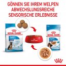 ROYAL CANIN MAXI Puppy Welpenfutter nass f&uuml;r gro&szlig;e Hunde bis zum 15. Monat 10x140 g