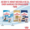 ROYAL CANIN MAXI Puppy Welpenfutter nass f&uuml;r gro&szlig;e Hunde bis zum 15. Monat 10x140 g