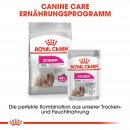 ROYAL CANIN EXIGENT MINI Trockenfutter f&uuml;r w&auml;hlerische kleine Hunde 3 Kg