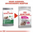 ROYAL CANIN EXIGENT MINI Trockenfutter f&uuml;r w&auml;hlerische kleine Hunde 3 Kg