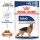 ROYAL CANIN MAXI Adult Nassfutter für große Hunde 10x140 g