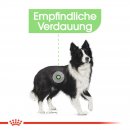 ROYAL CANIN DIGESTIVE CARE MEDIUM Trockenfutter f&uuml;r mittelgro&szlig;e Hunde mit emfindlicher Verdauung 3 Kg