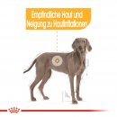 ROYAL CANIN DERMACOMFORT MAXI Trockenfutter f&uuml;r gro&szlig;e Hunde mit empfindlicher Haut 3 Kg