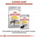 ROYAL CANIN DERMACOMFORT MAXI Trockenfutter f&uuml;r gro&szlig;e Hunde mit empfindlicher Haut 3 Kg