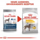 ROYAL CANIN DERMACOMFORT MAXI Trockenfutter f&uuml;r gro&szlig;e Hunde mit empfindlicher Haut 3 Kg