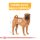 ROYAL CANIN DERMACOMFORT MEDIUM Trockenfutter für mittelgroße Hunde mit empfindlicher Haut 12 Kg