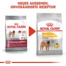 ROYAL CANIN DERMACOMFORT MEDIUM Trockenfutter f&uuml;r mittelgro&szlig;e Hunde mit empfindlicher Haut 3 Kg