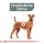 ROYAL CANIN DENTAL CARE MEDIUM Trockenfutter für mittelgroße Hunde mit empfindlichen Zähnen 10 Kg