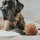 Hunter Hundespielzeug Tirana Ball 10 cm