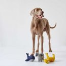 Hunter Hundespielzeug Eiby Wal 19 cm