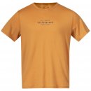 Bergans Herren T-Shirt Graphic Wool Tee Golden Field