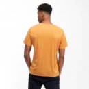 Bergans Herren T-Shirt Graphic Wool Tee Golden Field