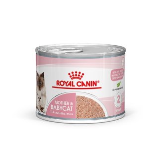 ROYAL CANIN MOTHER & BABYCAT Mousse für tragende Katzen und Kitten 12x195 g