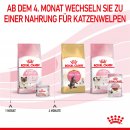 ROYAL CANIN MOTHER &amp; BABYCAT Mousse f&uuml;r tragende Katzen und Kitten 12x195 g