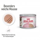 ROYAL CANIN MOTHER &amp; BABYCAT Mousse f&uuml;r tragende Katzen und Kitten 12x195 g