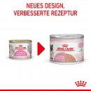 ROYAL CANIN MOTHER &amp; BABYCAT Mousse f&uuml;r tragende Katzen und Kitten 12x195 g