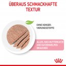 ROYAL CANIN MOTHER &amp; BABYCAT Mousse f&uuml;r tragende Katzen und Kitten 12x195 g