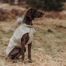 Hunter Hunde-Regenmantel Milford Taupe