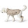 Hunter Hunde-Regenmantel Milford Taupe 60