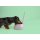 United Pets Milano Napf Tail Aquamarin