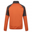 Regatta Herren Softshelljacke Yare VII Orange/Grau L