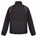 Regatta Herren Softshelljacke Steren Hybrid Schwarz