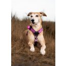 Orbiloc LED-Sicherheitslicht Dog Dual Pink