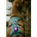 Orbiloc LED-Sicherheitslicht Dog Dual Lila
