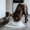 Hunter Keramik-Napf Osby Wei&szlig; 350 ml