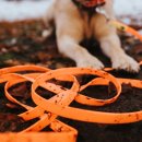Hunter Suchleine Convenience Neonorange L&auml;nge 1200 cm | Breite 1,5 cm