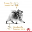 ROYAL CANIN Pomeranian Breed Adult Trockennahrung f&uuml;r ausgewachsene Zwergspitze 1,5 Kg