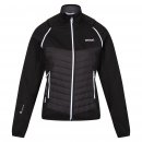 Regatta Damen Softshelljacke Steren Hybrid Schwarz