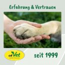 cdVet VeaVet WundEx Spray 20 ml