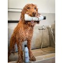 Fellbys Dogs Langhaarpflege Shampoo mit Echinacea-Extrakt...