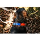 Farm-Land Halsband Signalorange/Blau