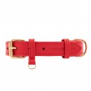 William Walker Hundehalsband Plain Chili