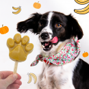 BeG Buddy Eis f&uuml;r Hunde mit Banane und K&uuml;rbis